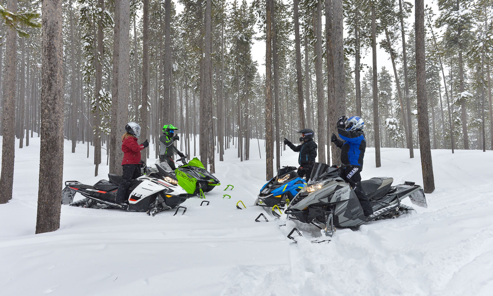 Snowmobilers gathered together as group