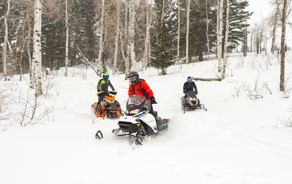 Snowmobiling on trail